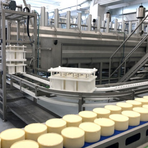 Cheese Proccessing Machines